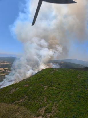 Bursa’da orman yangını