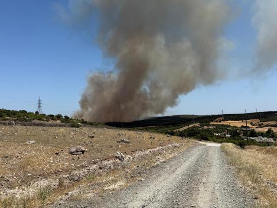 Çanakkale'de orman yangını