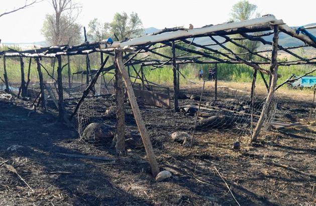 Ağıldaki yangında 22 küçükbaş hayvan telef oldu