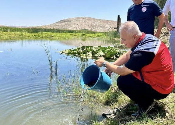 Hatay’da baraj ve göletlere 1 milyon yavru balık bırakıldı