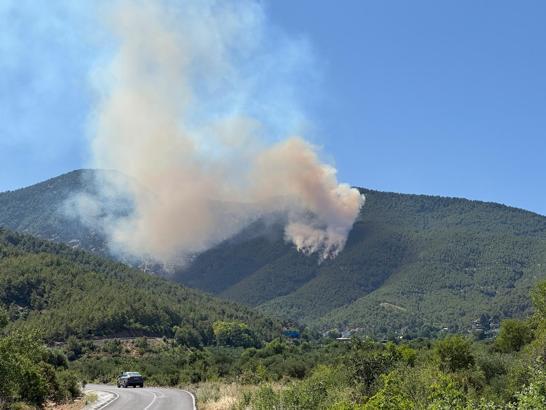 Hatay'da orman yangını