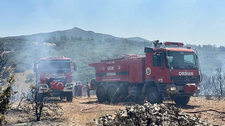 Uşak'ta çıkan makilik yangını kontrol altında