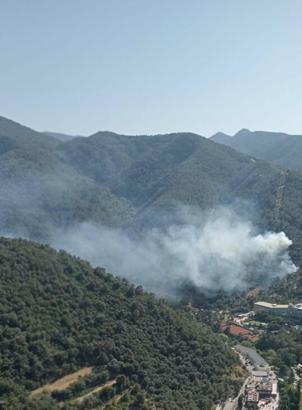 İzmir'de orman yangını