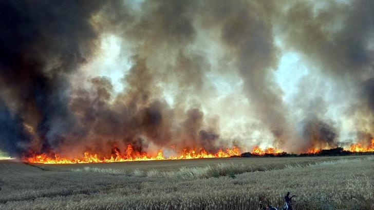 Tekirdağ'da 300 dönüm buğday tarlası yandı