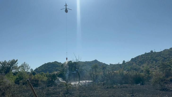 Marmaris'te ot yangını