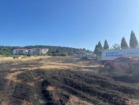 Sakarya Orman İşletme Müdürlüğü'nün deposunda yangın; ormana da sıçradı (3)
