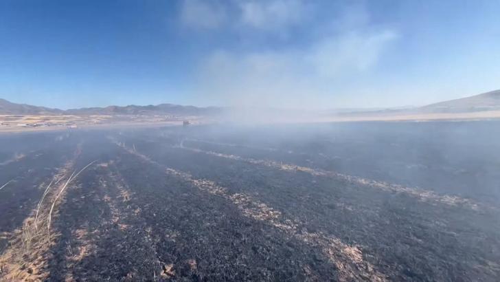 Elazığ’da ekili 60 dönüm arpa yandı
