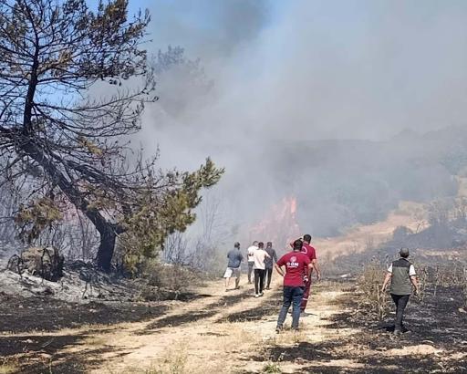 Semaver yakarken ormanı da yakan kadına ev hapsi cezası verildi