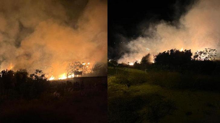 Hatay'da ağaçlık alanda çıkan yangın söndürüldü