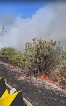 Otoyol kenarındaki çalılık yangını söndürüldü