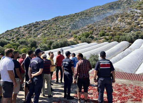 Antalya'da orman yangını (4)