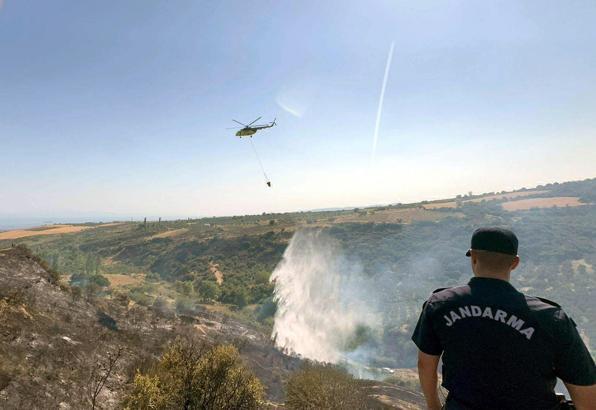 Tekirdağ'da makilik yangını: 2,5 hektarlık alan zarar gördü