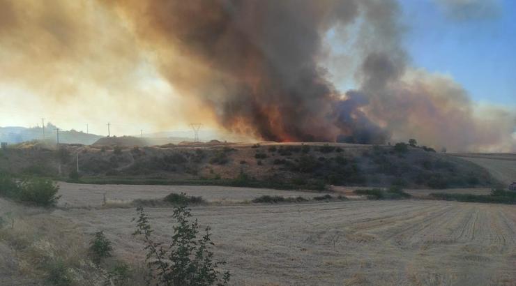 Bilecik’te orman yangını