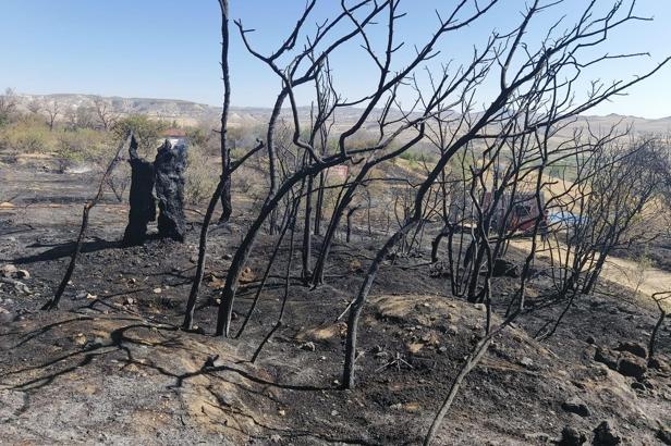 Nevşehir’de ağaçlık alanda çıkan yangın söndürüldü