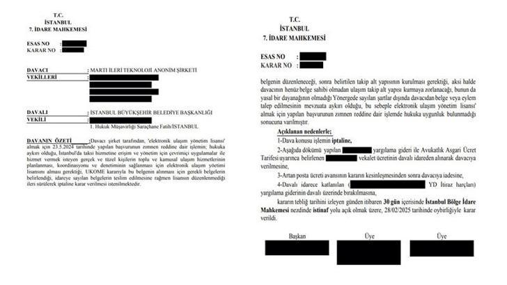 Martı, mahkeme kararıyla e-ulaşım lisansı aldı