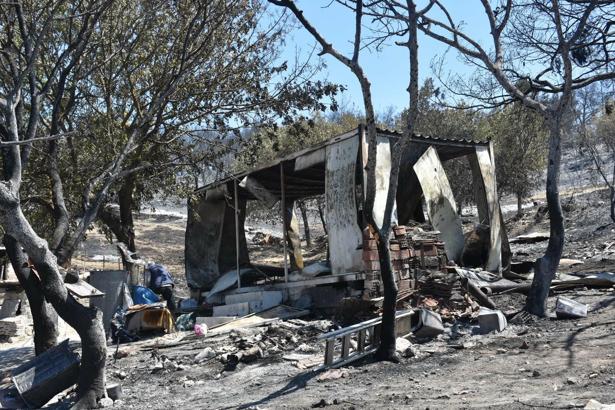 İzmir'deki orman yangınında 2'nci gün (5)