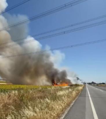 İstanbul - Silivri'de ot yangını itfaiyenin 1 saatlik çalışması ile söndürüldü