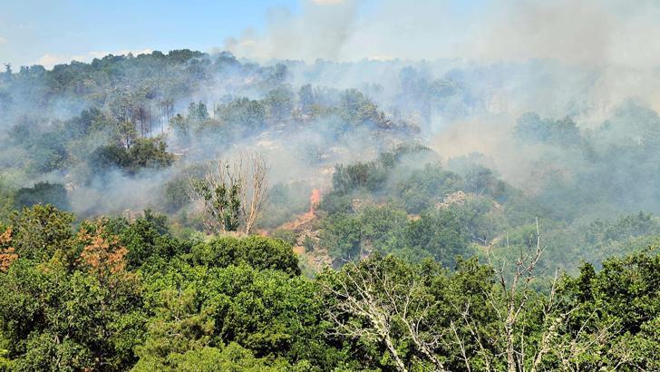 Edirne'de orman yangını