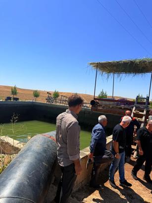 Serinlemek için girdiği sulama havuzunda boğuldu