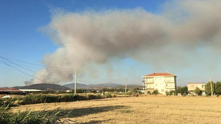 İzmir'de sanayide çıkan yangın ormana sıçradı