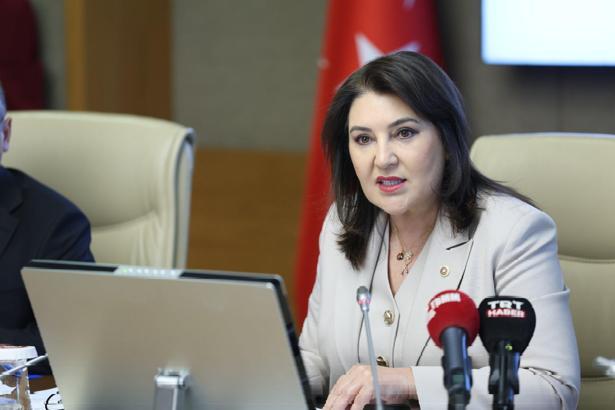 Kamu Denetçiliği Kurumu'nun yıllık raporu kabul edildi