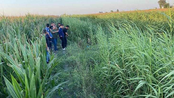 Adana'da, dere yatağında erkek cesedi bulundu