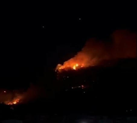 İzmir'de sanayide çıkan yangın ormana sıçradı (3)