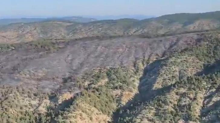 OGM: Bilecik'te orman yangını kontrol altına alındı