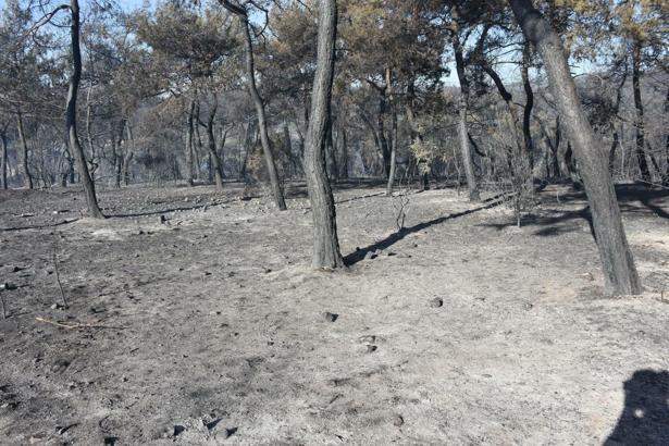 Aliağa'da yanan alanlar havadan görüntülendi / Ek fotoğraflar