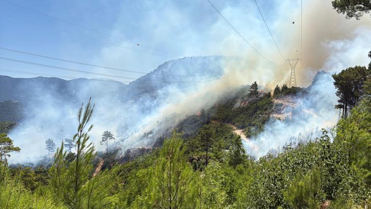 Antalya'nın 3 ilçesinde 5 noktada yangın; 4’ü kontrol altında, Alanya’da müdahale sürüyor / Ek fotoğraflar