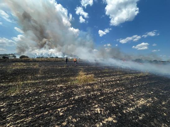 Saros’ta çıkan tarla ve orman yangınıyla ilgili savcılığa suç duyurusu