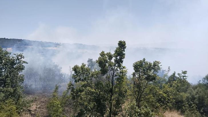 İnegöl'deki orman yangını kontrol altına alındı