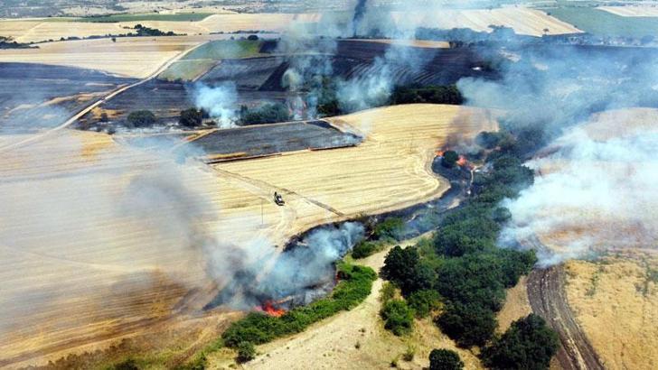 Edirne'de buğday tarlasında çıkıp ağaçlık alana sıçrayan yangın söndürüldü