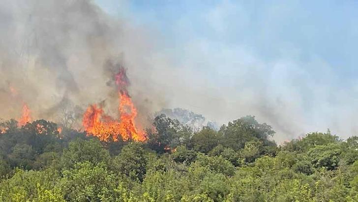 Bursa Yenişehir’de çıkan orman yangını kontrol altında