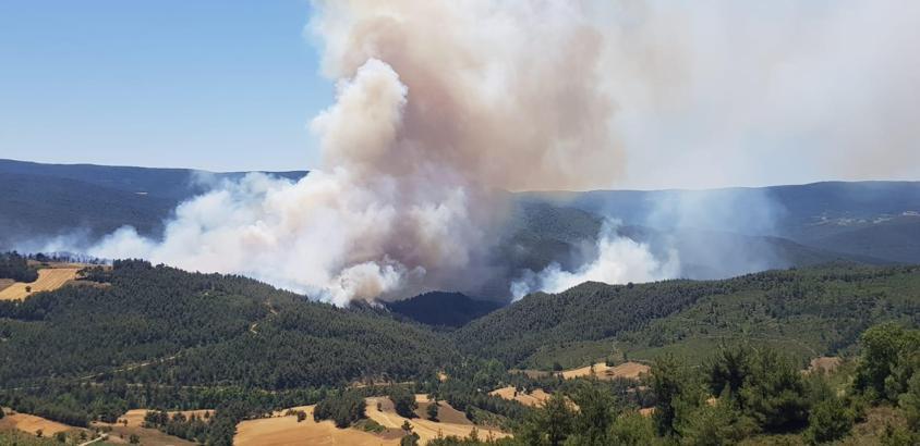 Sakarya’da orman yangını; 2 mahallede tahliye  (2)
