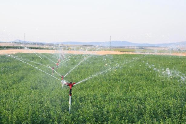Edirne’de 25 bin dekar tarım arazisinin suyla buluşması hedefleniyor