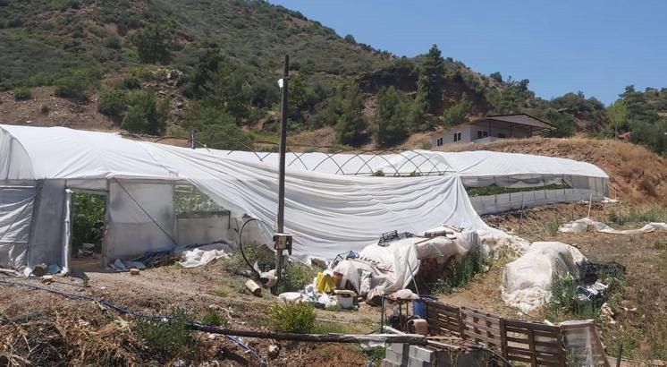 Şiddetli rüzgar seralara zarar verdi