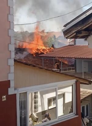 Bartın'da odunlukta başlayan yangında 2 ev kullanılamaz hale geldi
