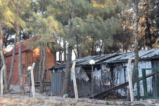 İzmir Bornova'da orman yangını (4)