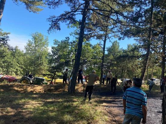 Pamukova'da orman yangını