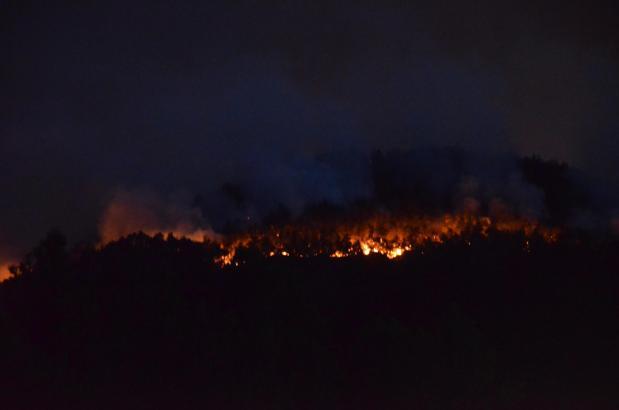Sakarya’da orman yangını (4)