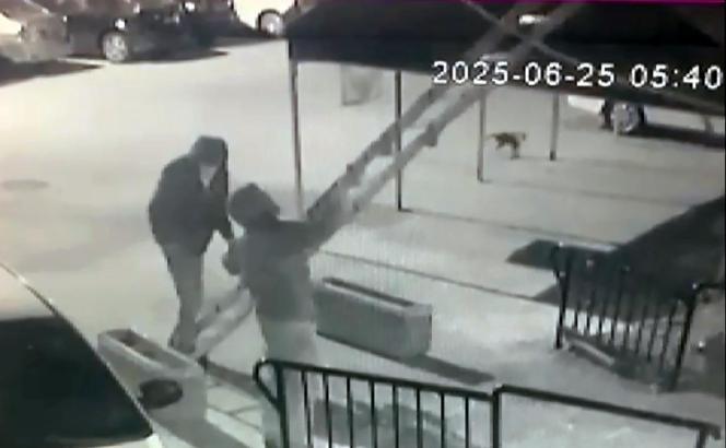 Balkonuna seyyar merdiven dayadıkları daireden altın ve döviz çaldılar