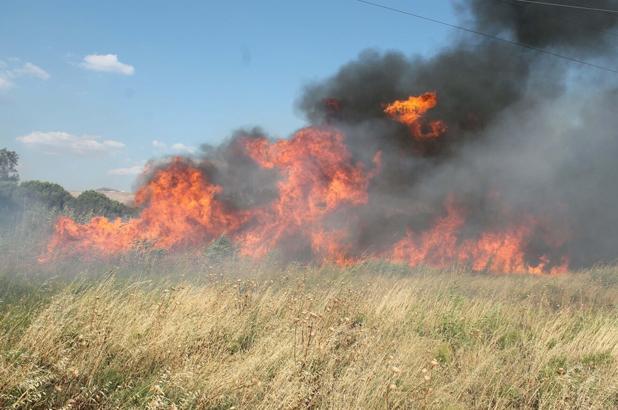 'Sıcaklık rekorlarının kırıldığı günler yangın riski açısından kritik'