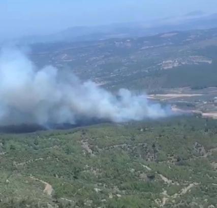 Manisa'da orman yangını