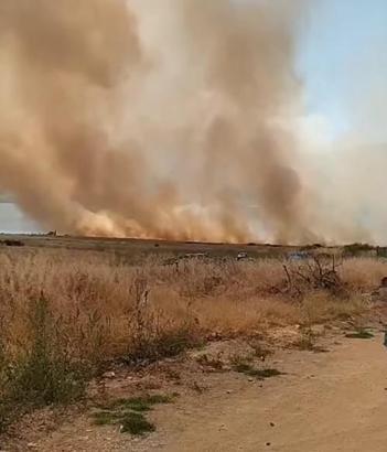 Elazığ’da otluk yangını, söndürüldü