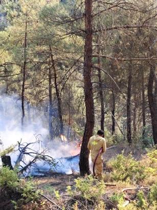 Sakarya'da çıkıp Bilecik'e sıçrayan orman yangını 2'nci gününde / Ek fotoğraflar