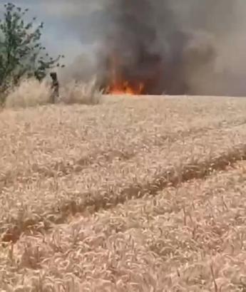 İstanbul - Çatalca'da buğday tarlasında yangın