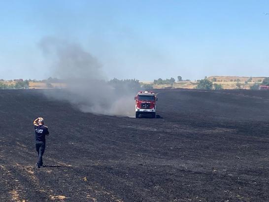 Edirne'de 40 dönüm buğday tarlası yandı