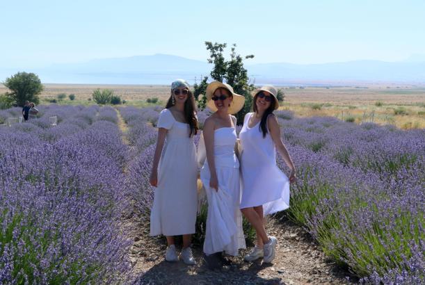 Lavanta Hasat ve Sanat Günleri başladı