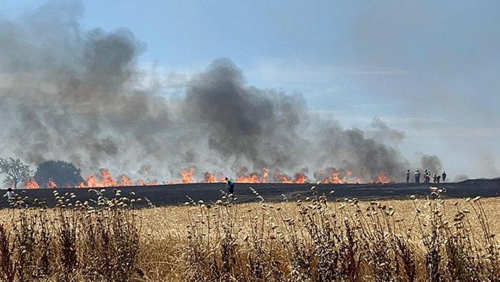 Bursa'da anız yangınında alevler zeytinliğe sıçradı